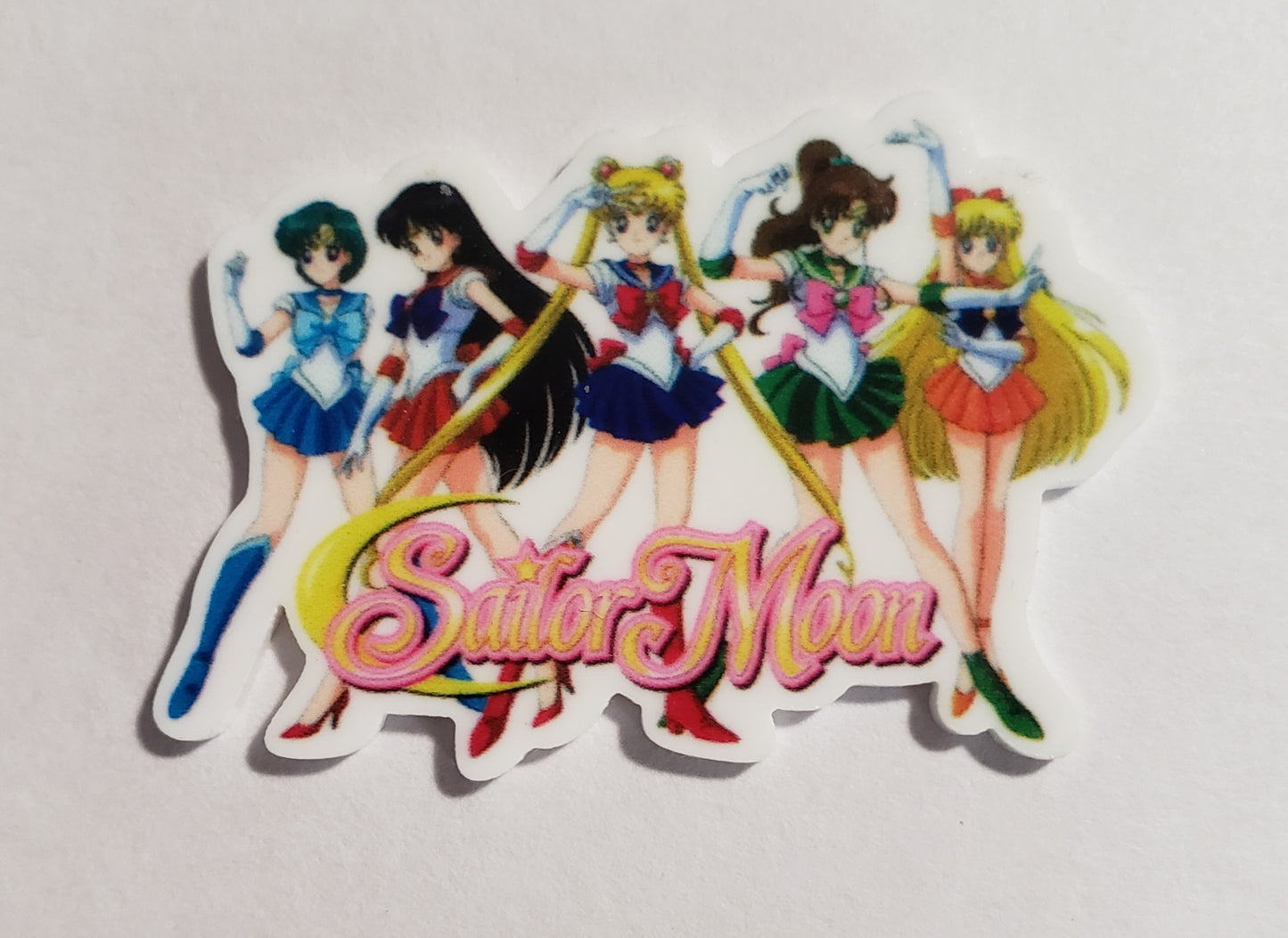 Sailor Moon & Anime Minders