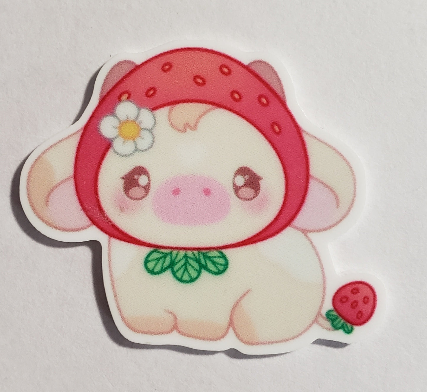 Sanrio/kawaii Minders