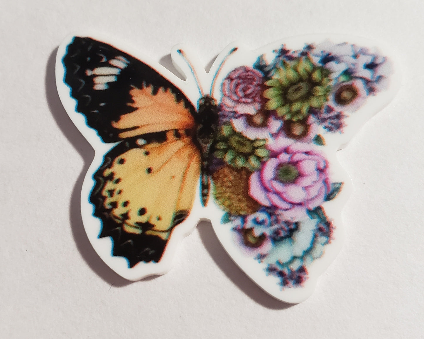 Butterfly Minders