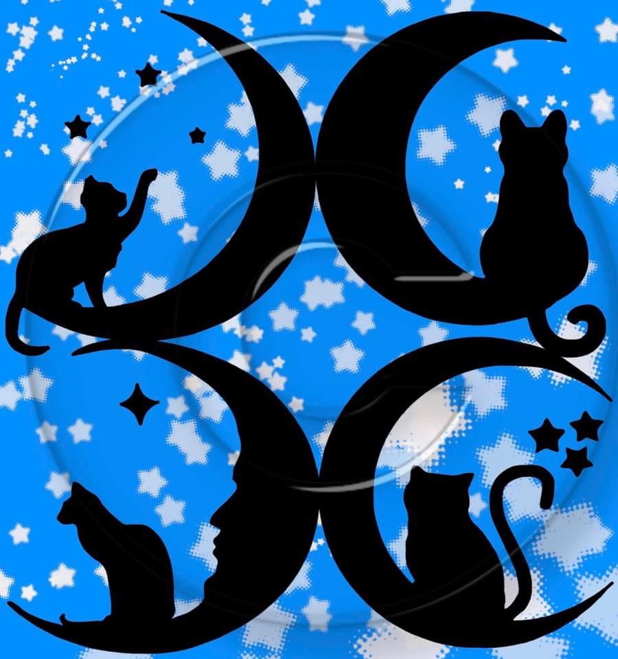 Twinkle cats