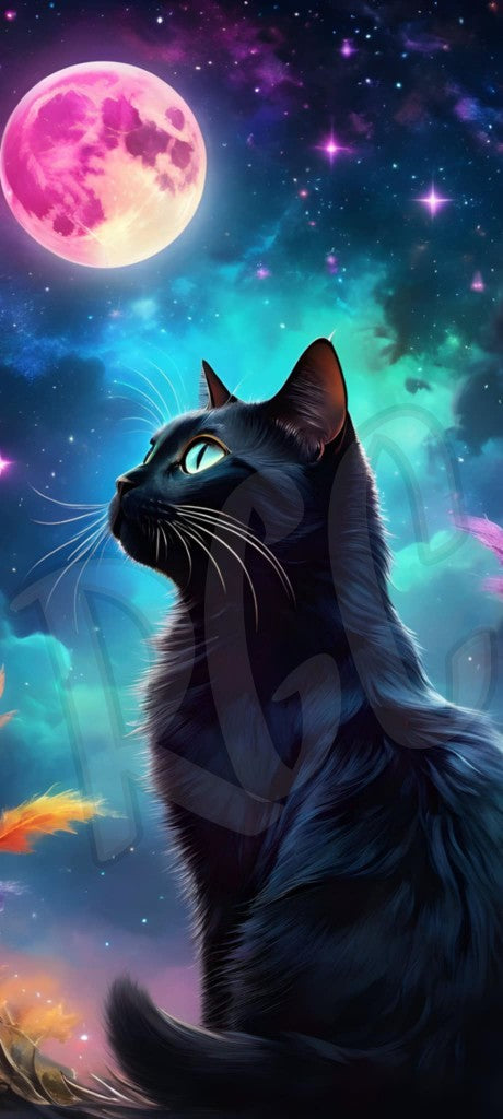 Black cat & Moon 1&2