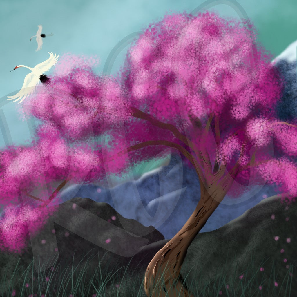 Sakura Serenity