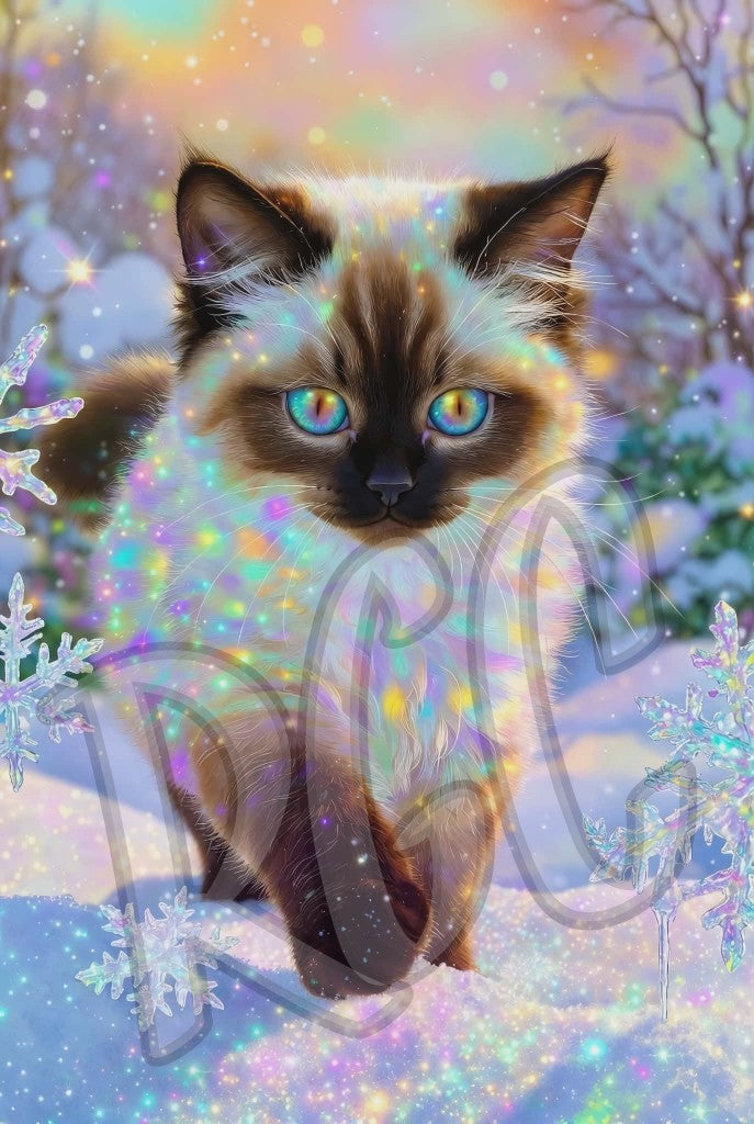 Winter Glittery Kitten