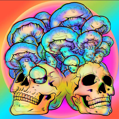 Shroom Skulls