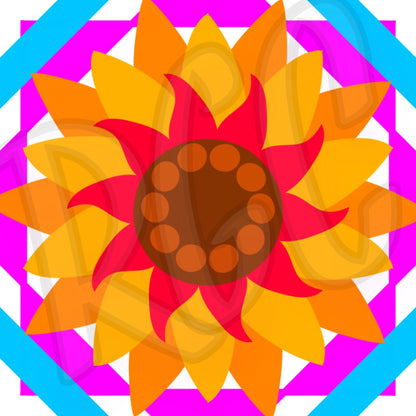 Mandala C Bundle