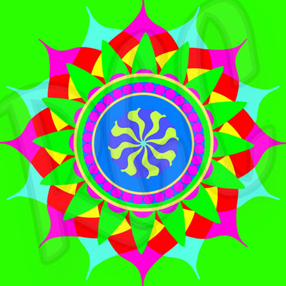 Mandala C Bundle