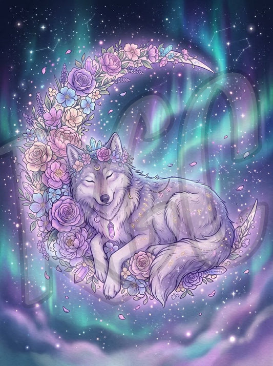 Moonlight Dreamer
