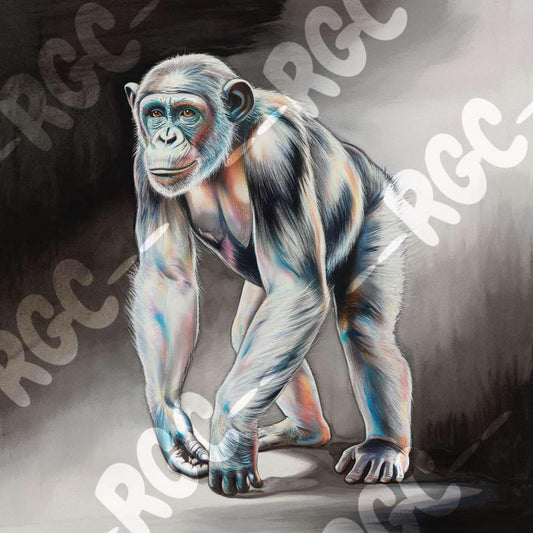 Gorilla