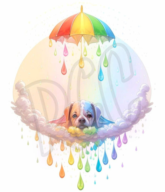 Puppy rainbow bridge