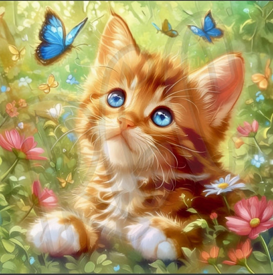 Playful Kitty