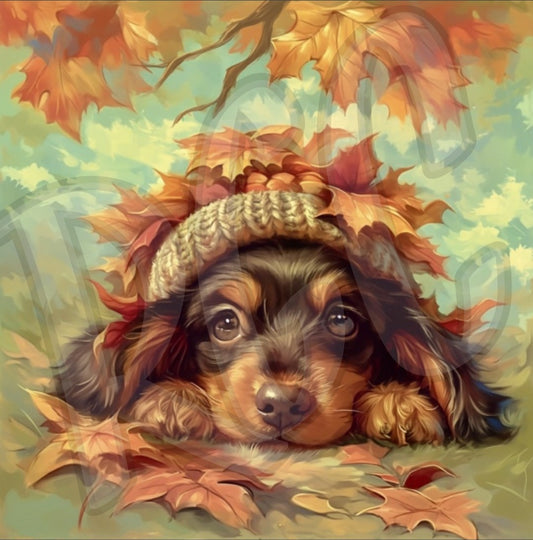 Puppy in Leaves