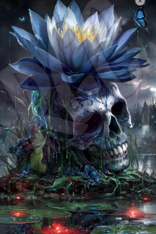 Skull Island
