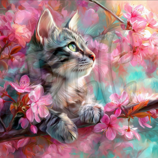 Blossom