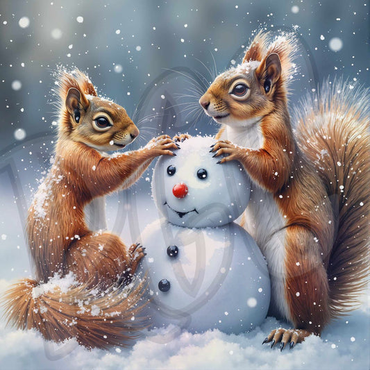 Getting Squirrely in the Snow