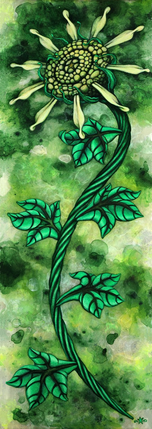 Cosmic Flower